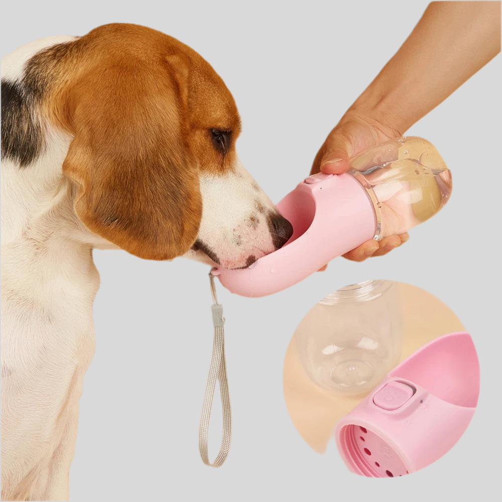 Pet Water Bottle